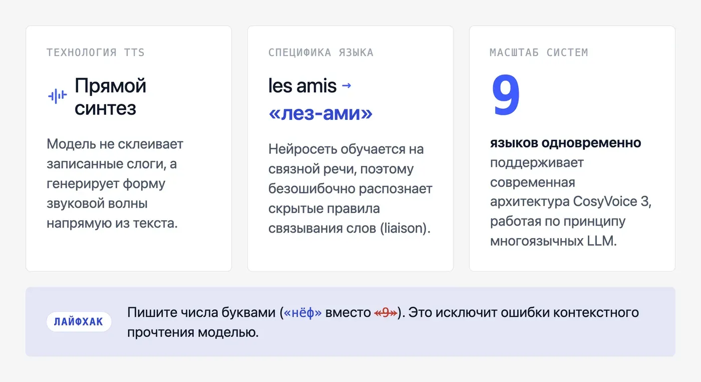Как нейросеть озвучивает текст на французском: что происходит под капотом? — инфографика Speakmi
